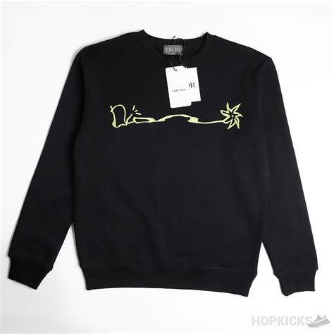 dior x cactus jack b713|dior x cactus jack sweater.